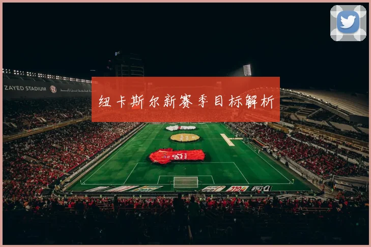 纽卡斯尔新赛季目标解析