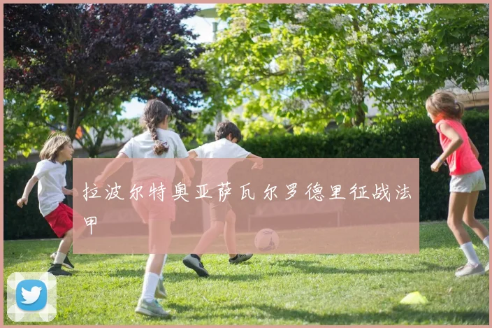 拉波尔特奥亚萨瓦尔罗德里征战法甲