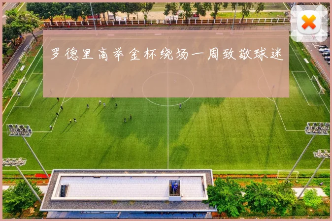 罗德里高举金杯绕场一周致敬球迷